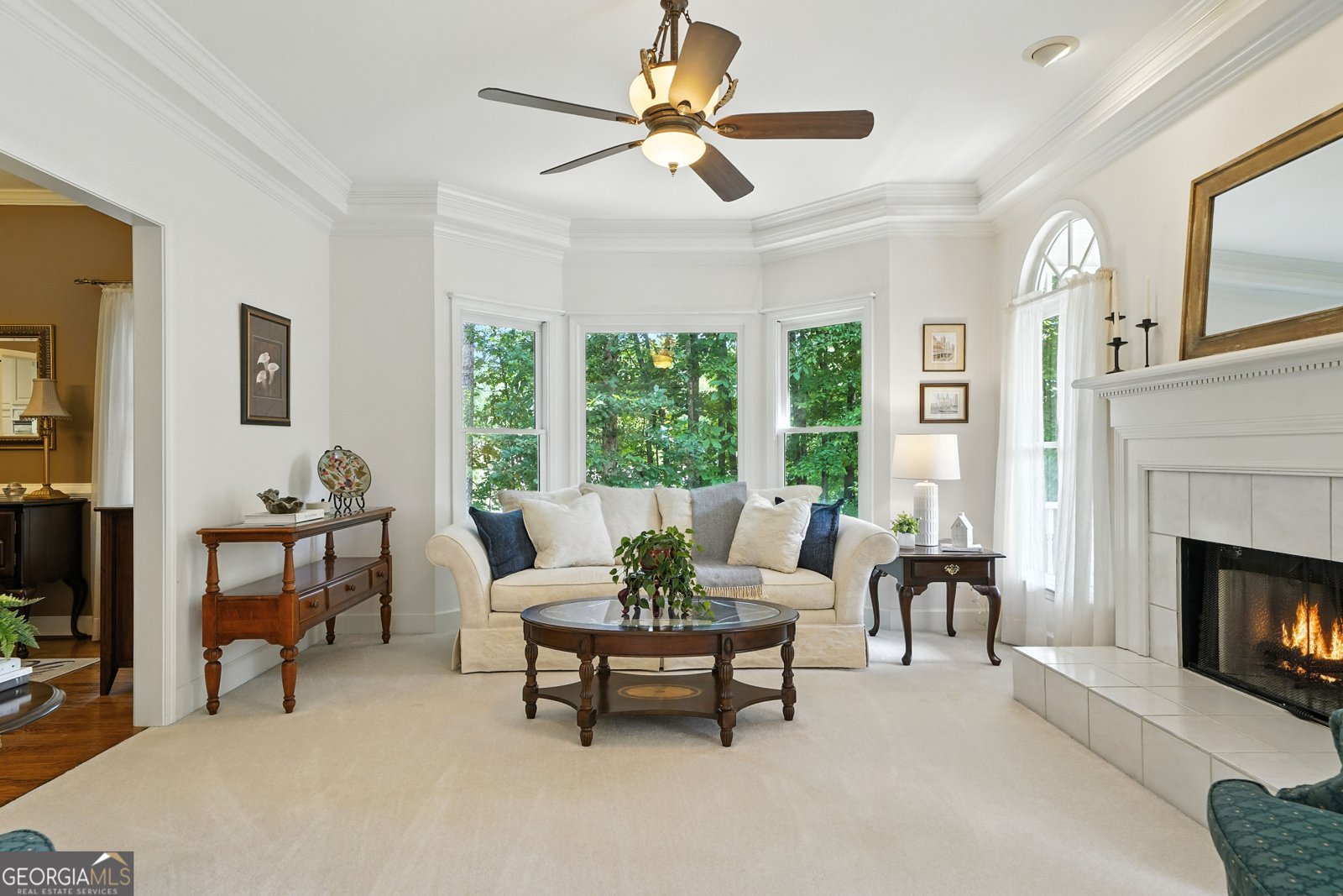 321 Ridge Drive Canton - 9