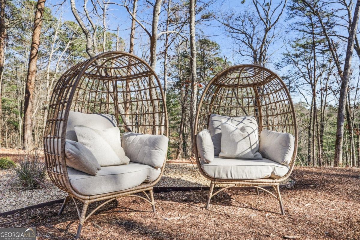 324 Overlook Way Ellijay - 49