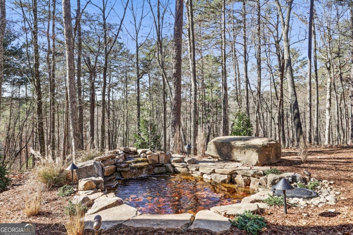 324 Overlook Way Ellijay - 56