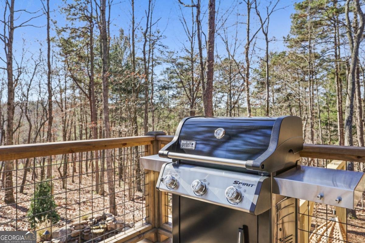 324 Overlook Way Ellijay - 58