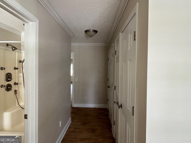 12444 Highway 301 Glennville - 9