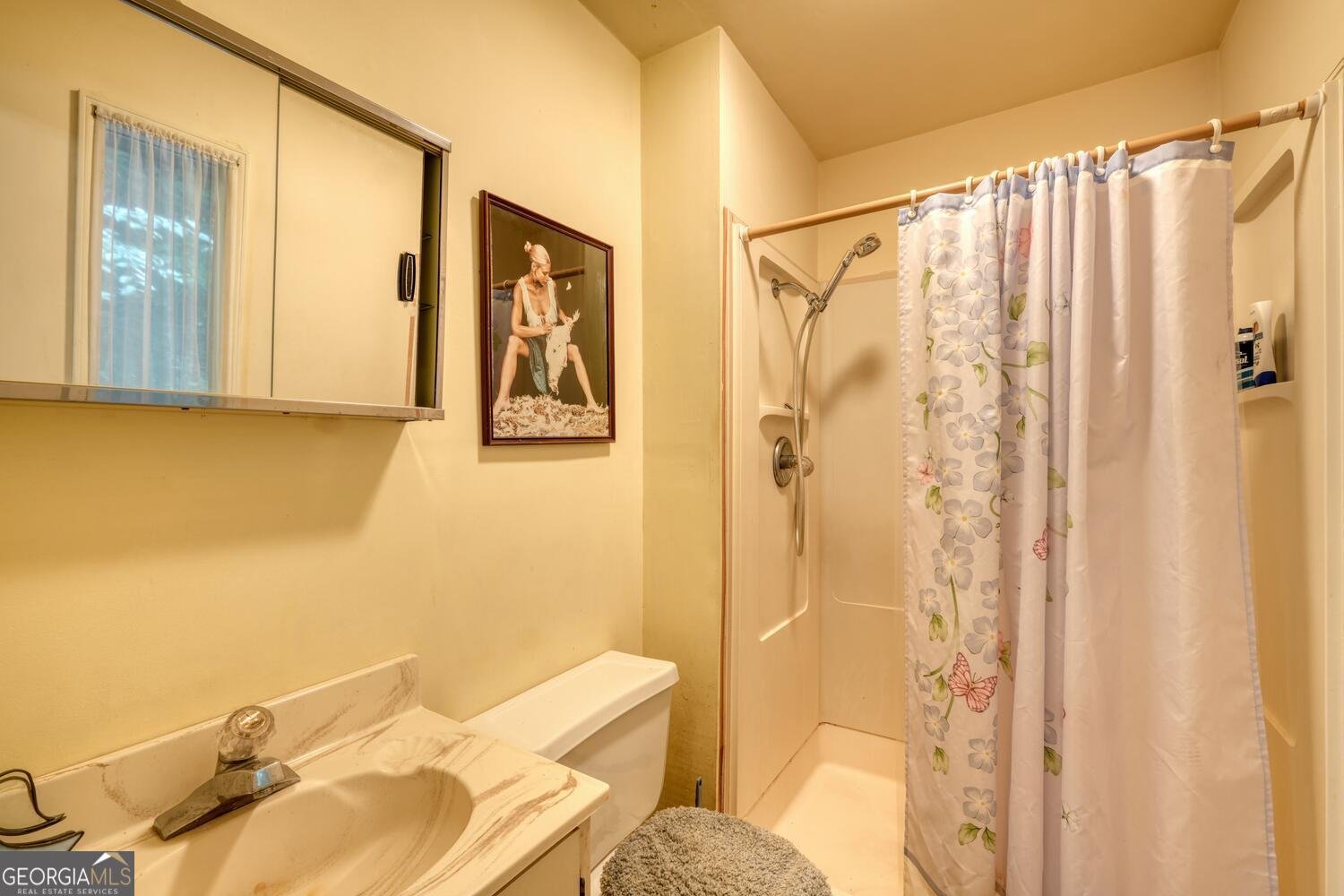 8088 Ivylog Gap Road Young Harris - 24