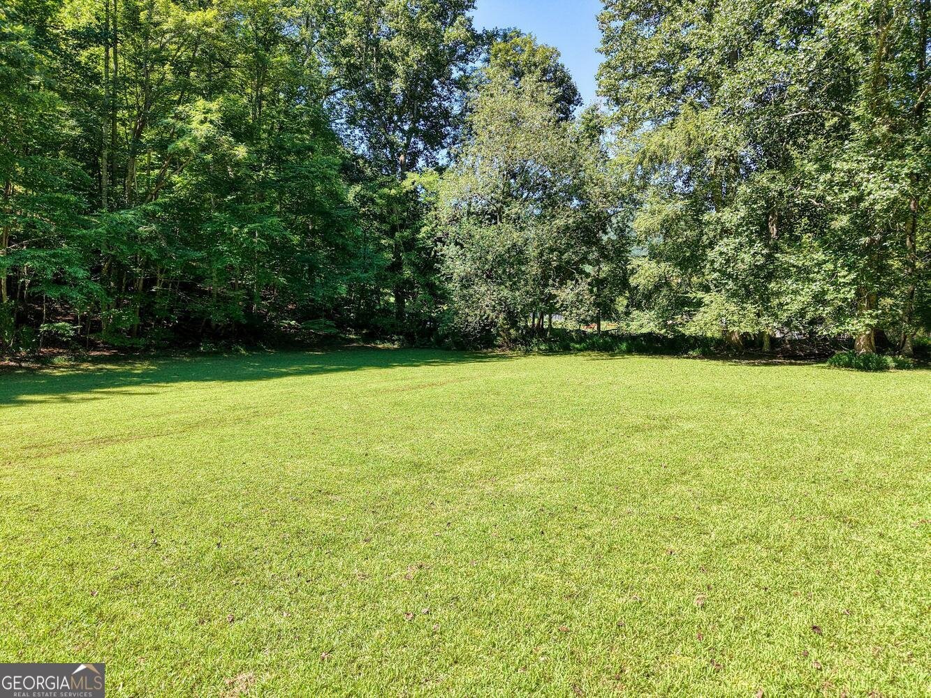 8088 Ivylog Gap Road Young Harris - 6