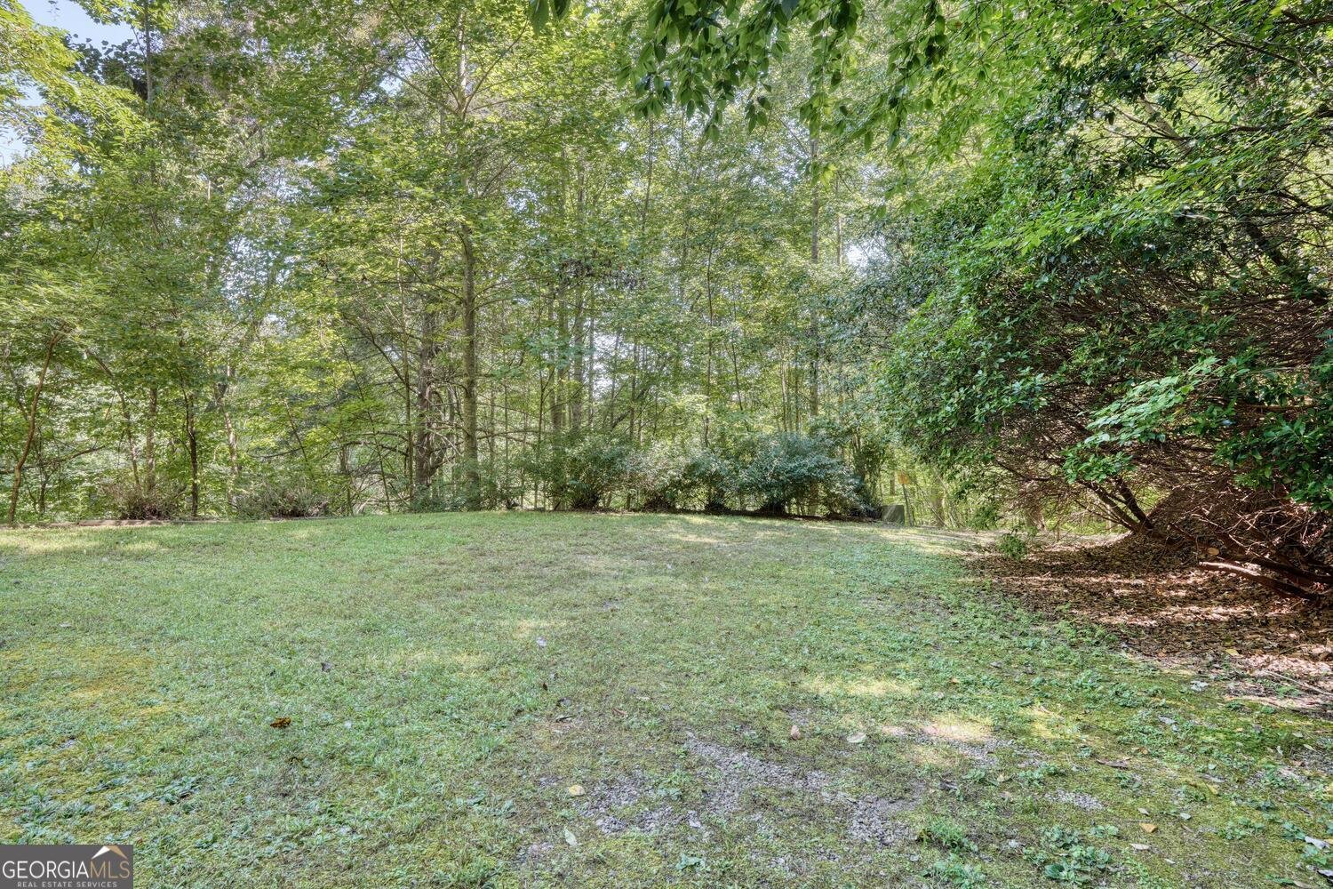 8088 Ivylog Gap Road Young Harris - 7