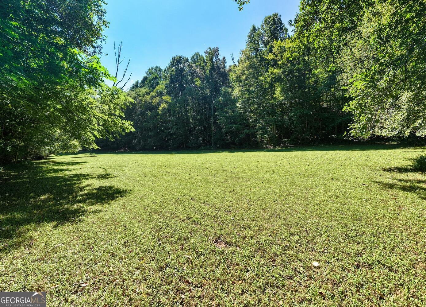 8088 Ivylog Gap Road Young Harris - 9