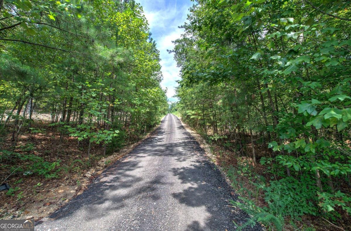 7826 HIGHWAY 27 Summerville - 15