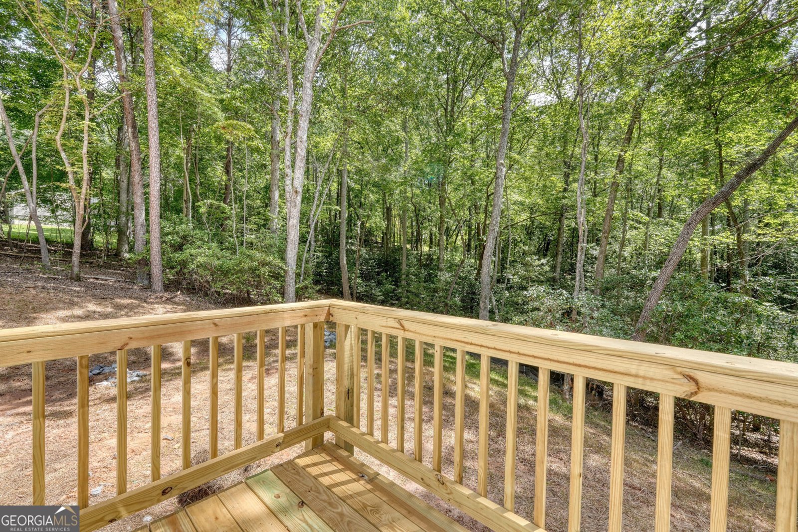 180 Laurel Ridge Road Blairsville - 27