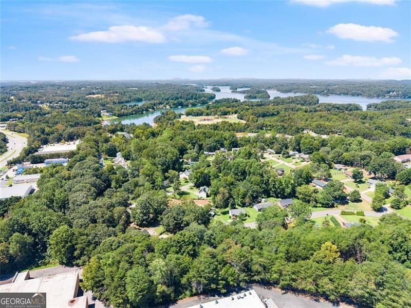 1741 LANIER SPRING Drive Gainesville - 53