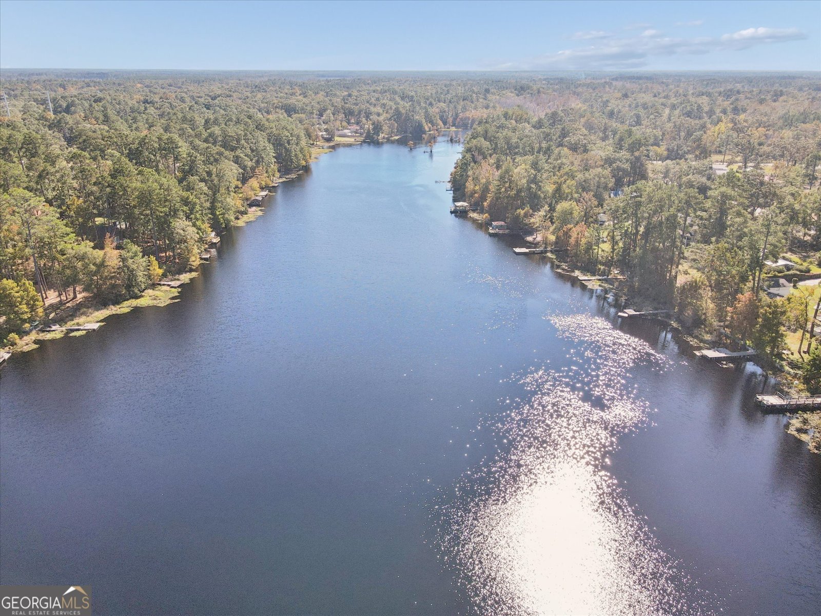 397 Pine Ridge Drive Ellabell - 66