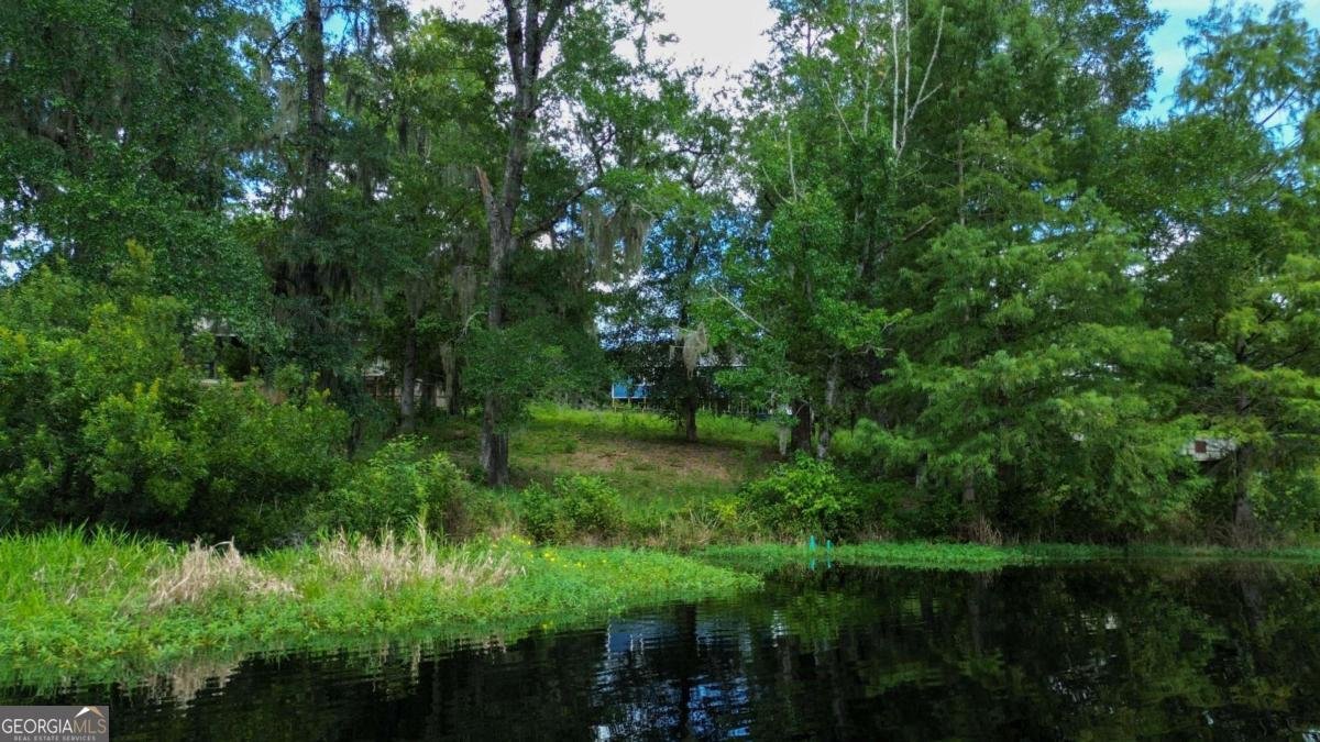 397 Pine Ridge Drive Ellabell - 9