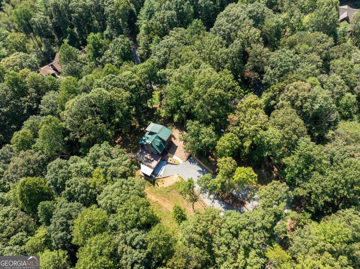56 Hunterhill Way Ellijay - 13