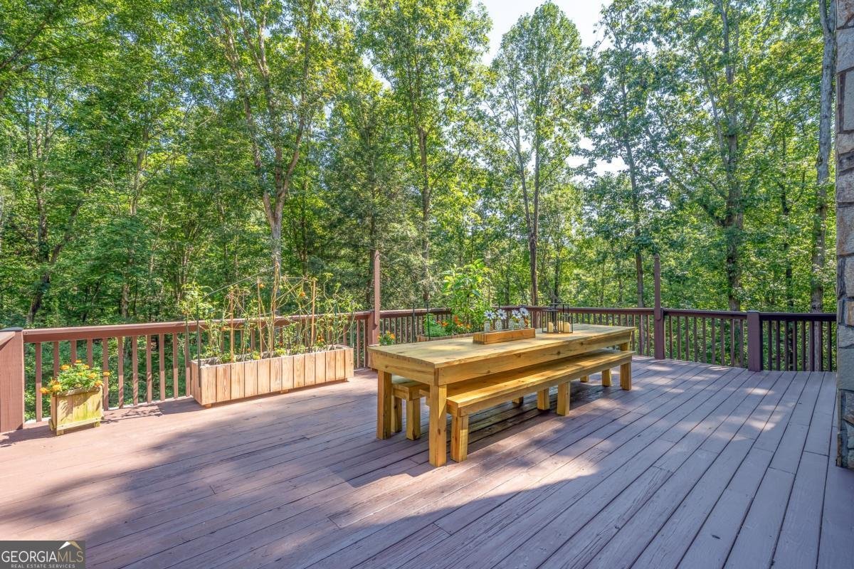 56 Hunterhill Way Ellijay - 18