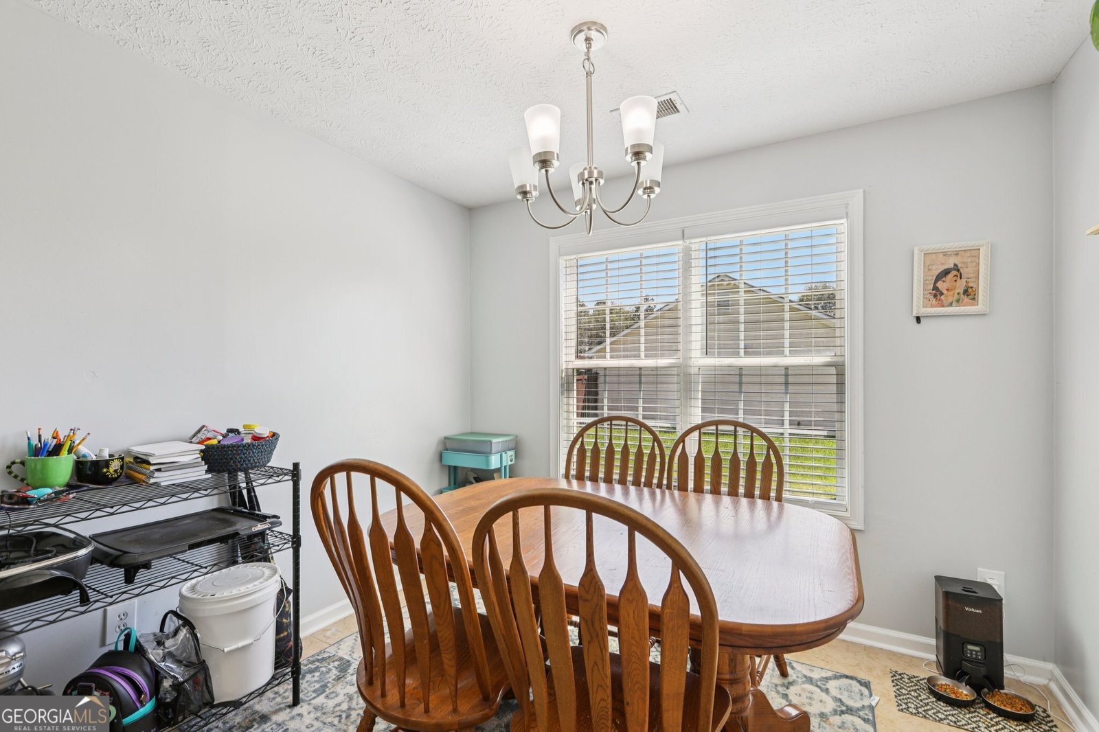 305 Lambert Overlook Circle Carrollton - 8