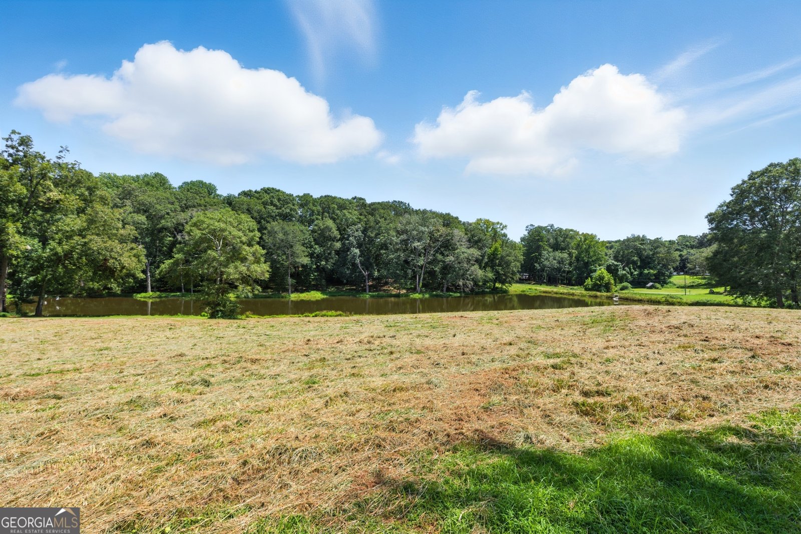 983 Lavonia Road Carnesville - 41