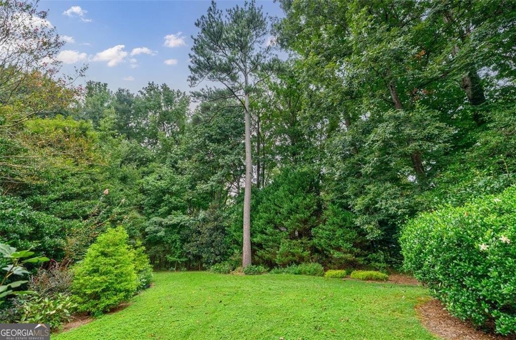 4573 Village Springs Place Dunwoody - 42
