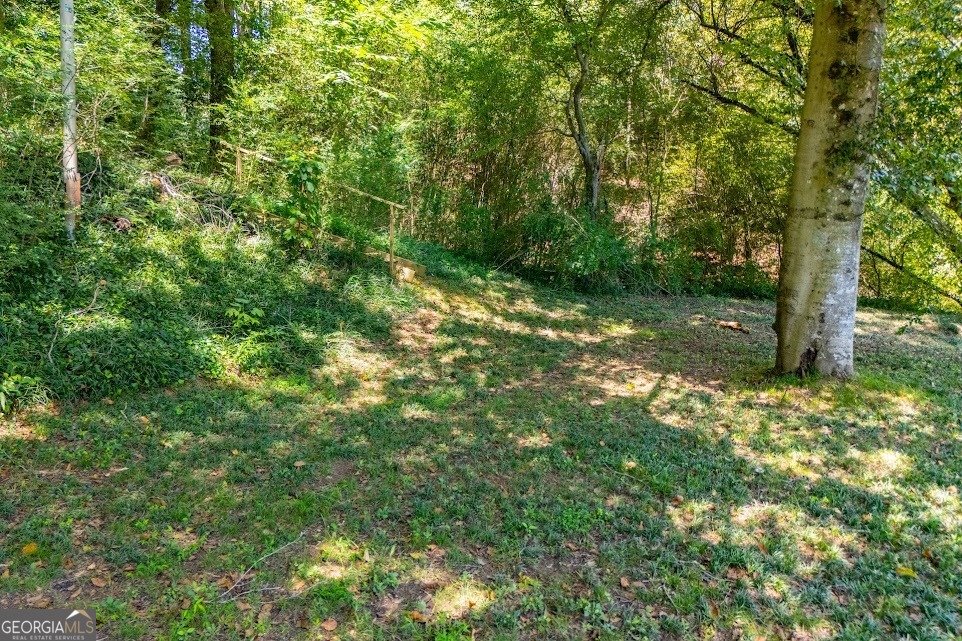 746 Dot Road Bowdon - 38