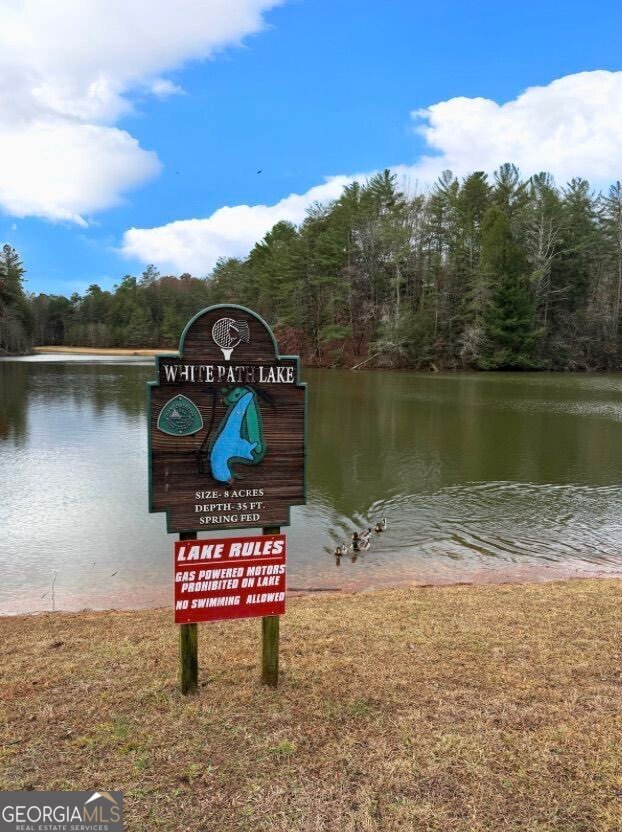 160 Nahunta Court Ellijay - 10