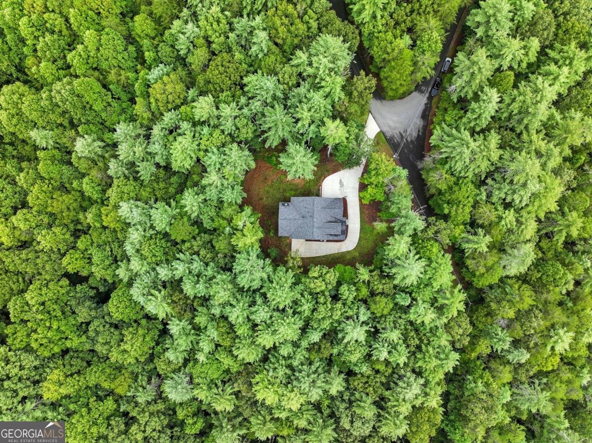 160 Nahunta Court Ellijay - 16