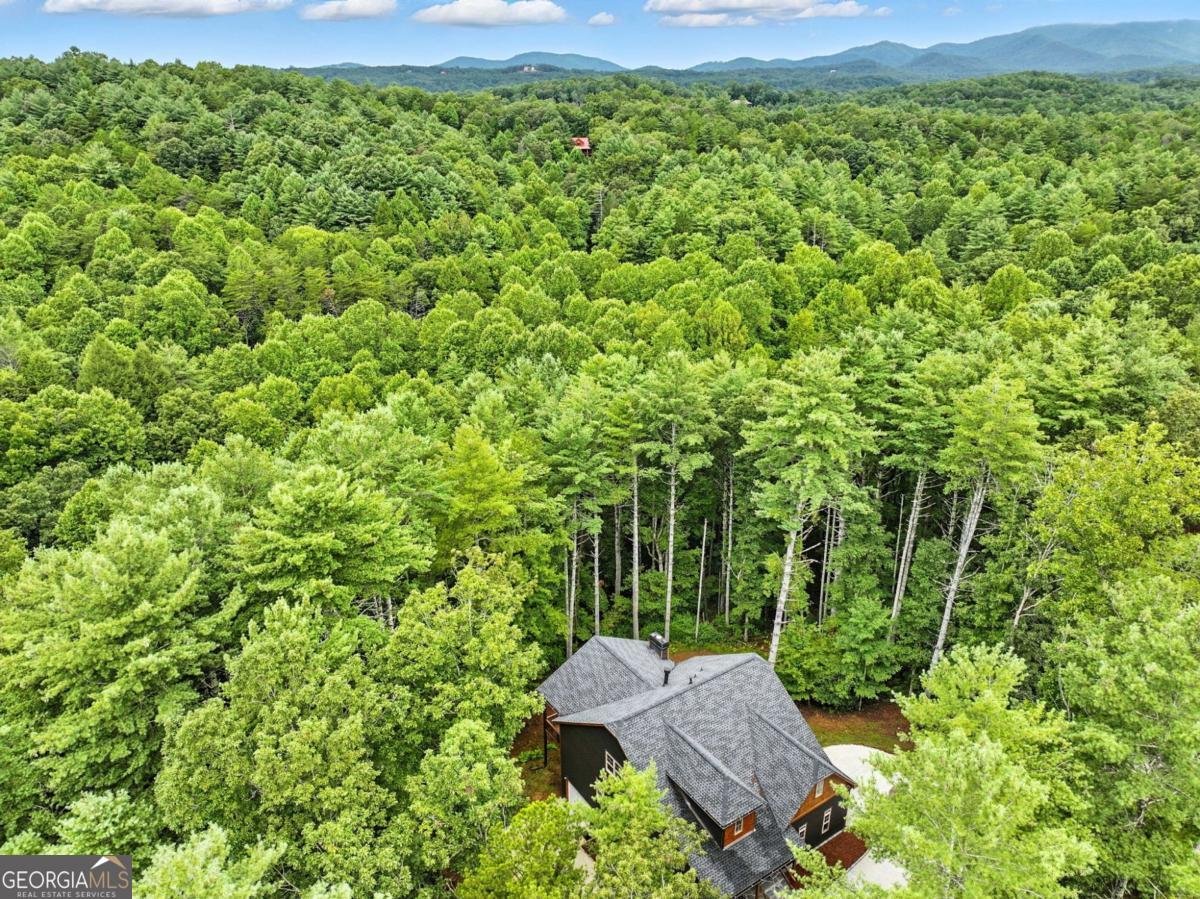 160 Nahunta Court Ellijay - 19