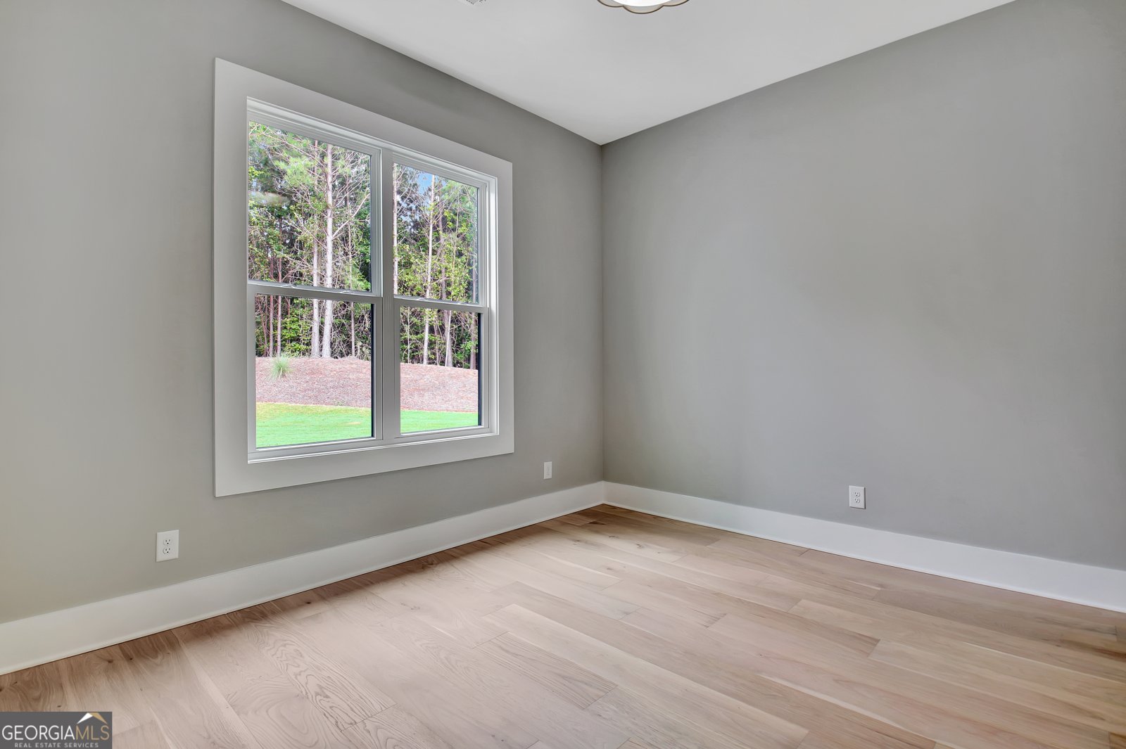 18 Sweet Rose Court Newnan - 43
