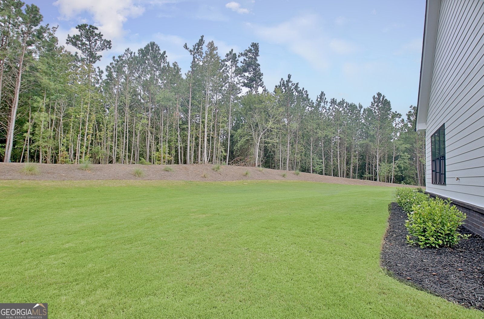 18 Sweet Rose Court Newnan - 65