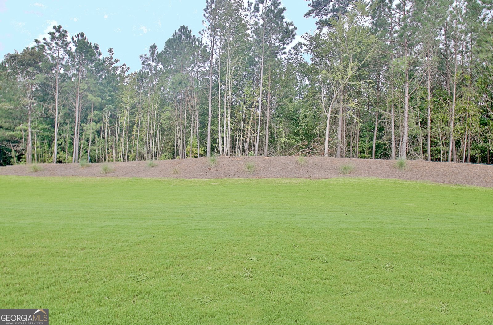 18 Sweet Rose Court Newnan - 67