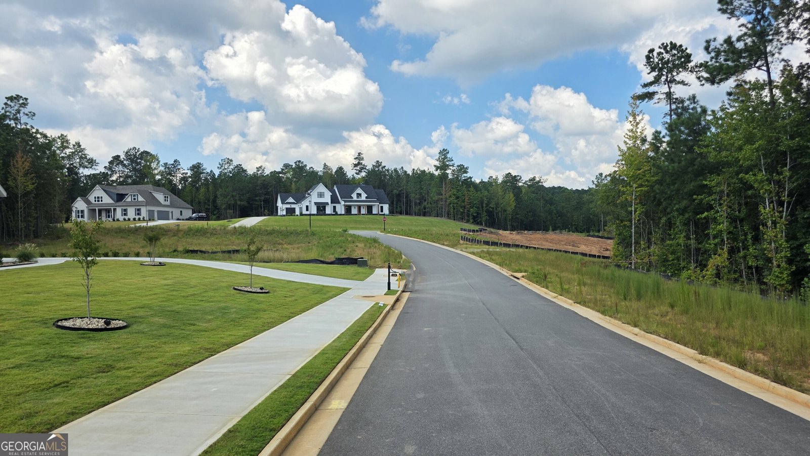 18 Sweet Rose Court Newnan - 79