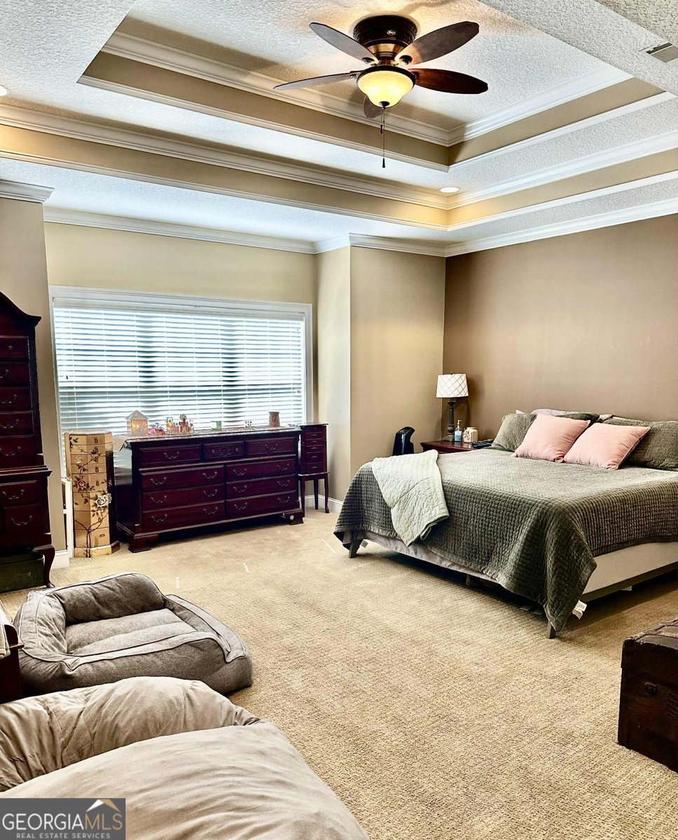 6112 Cottonwood Lane Blackshear - 21