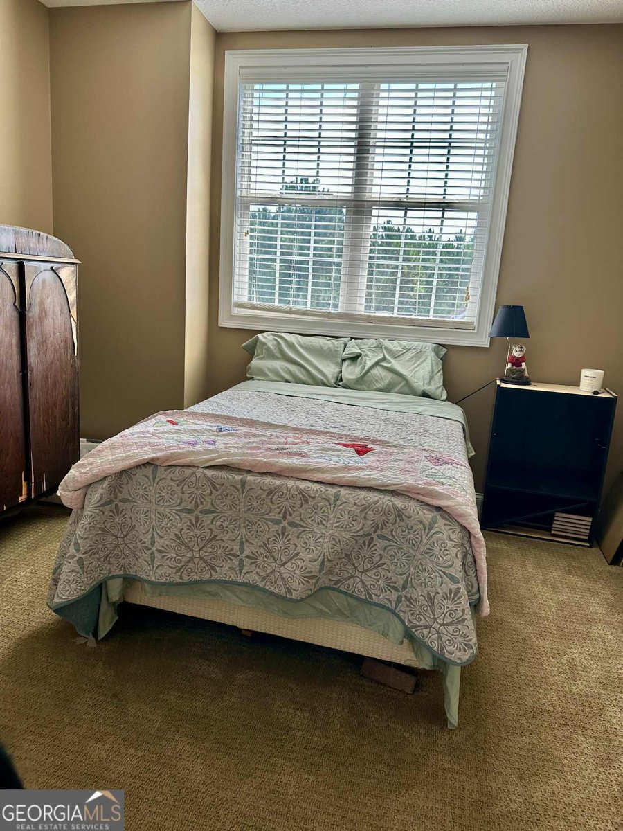 6112 Cottonwood Lane Blackshear - 32