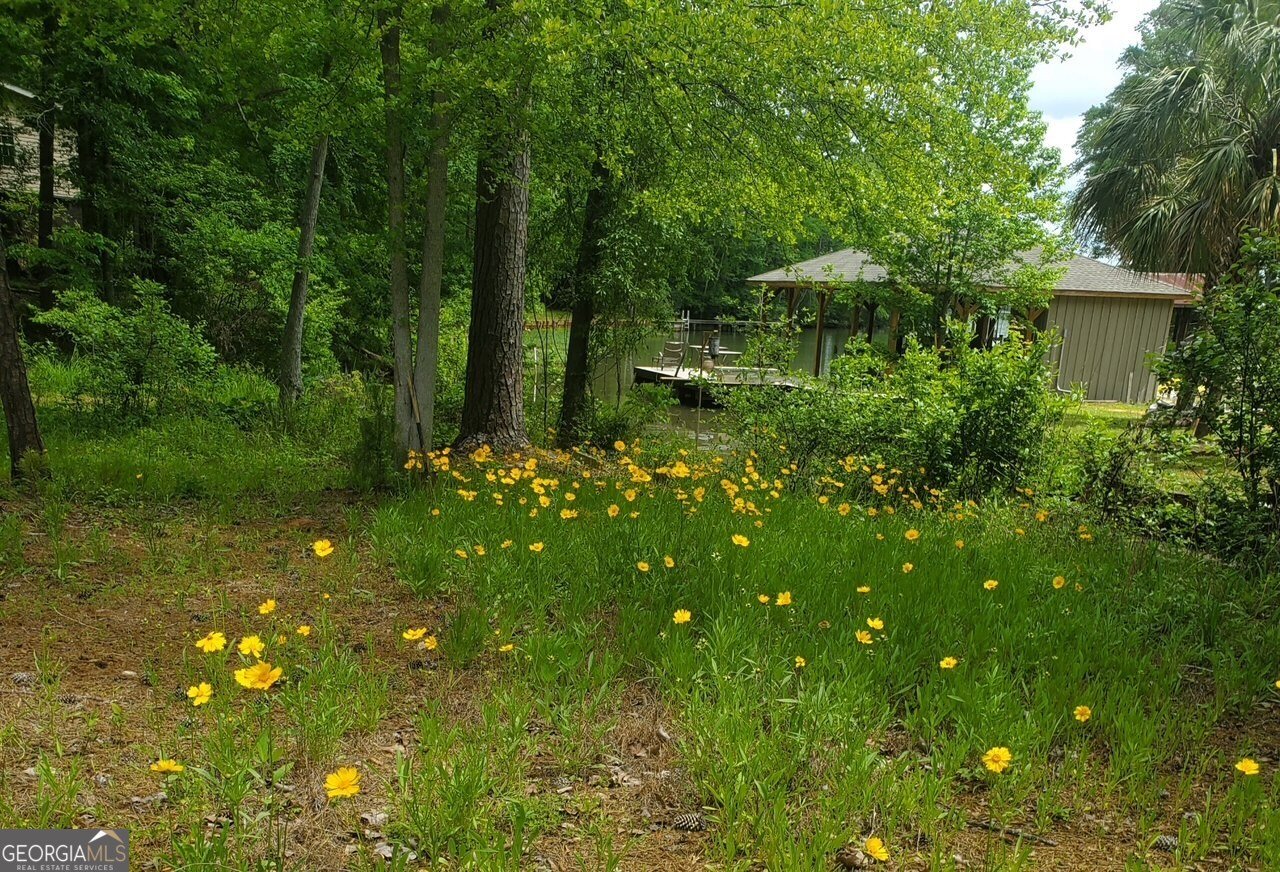 438 South Steel Bridge Road Eatonton - 33