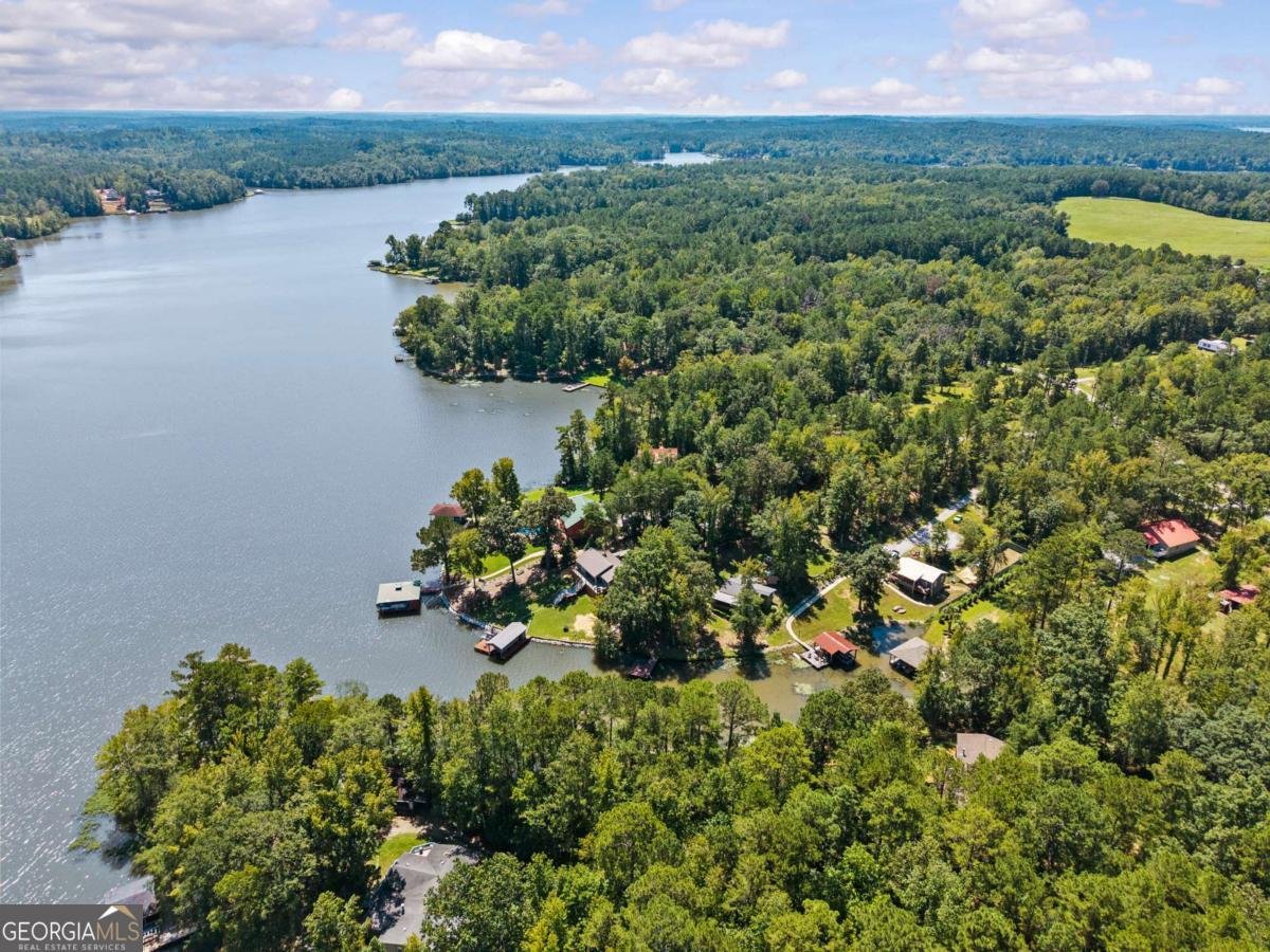 438 South Steel Bridge Road Eatonton - 40
