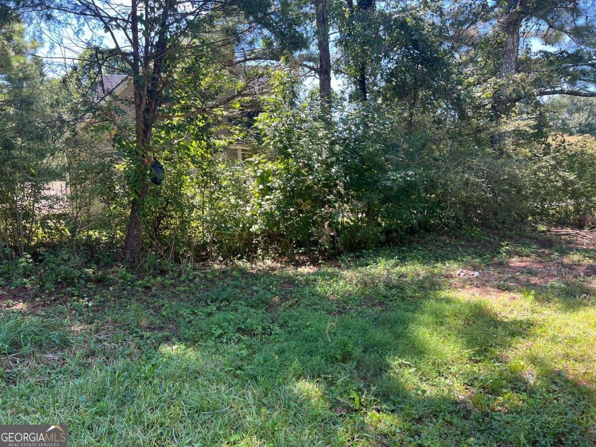 246 Hudson Circle Douglasville - 42