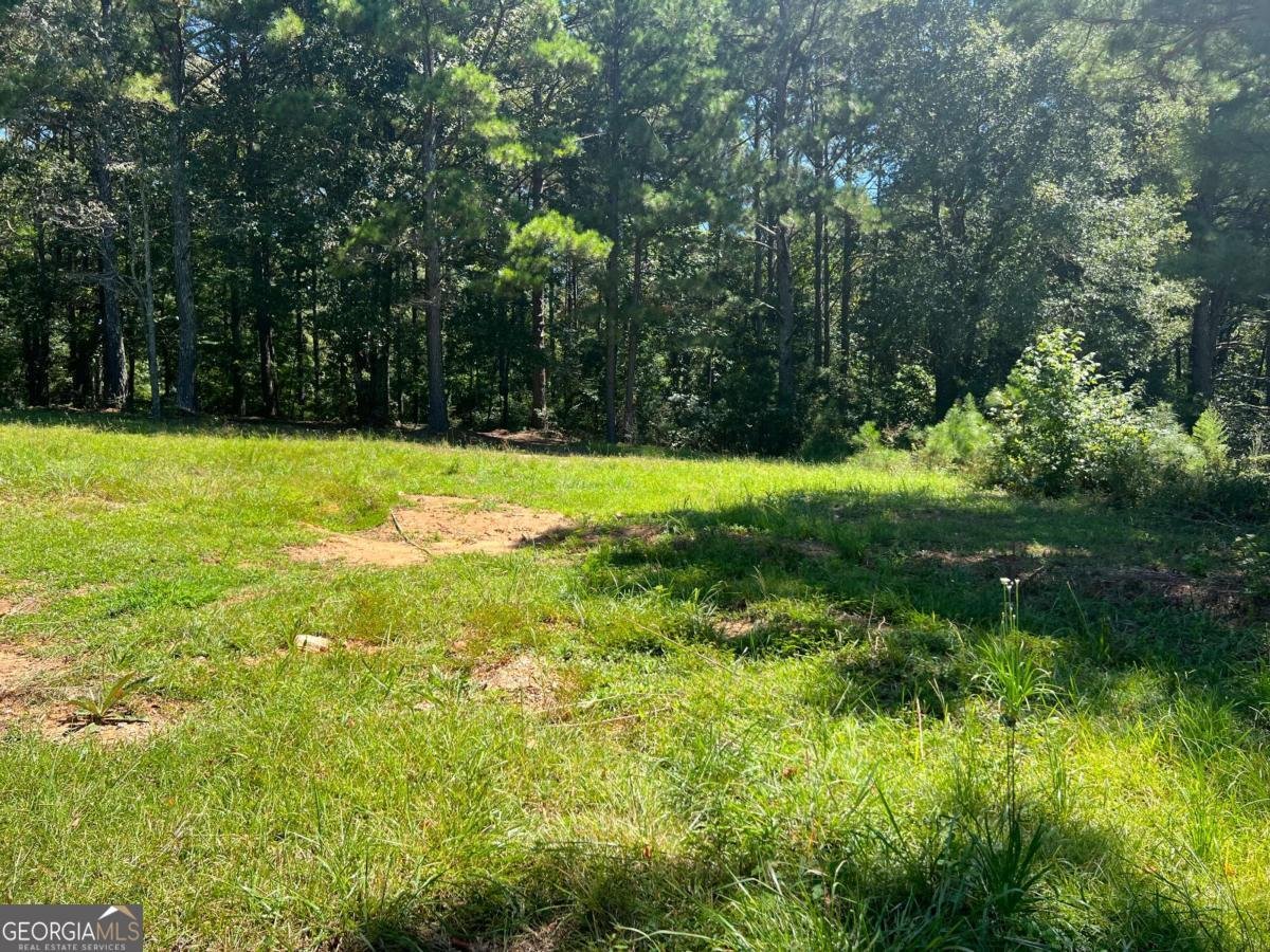 246 Hudson Circle Douglasville - 48