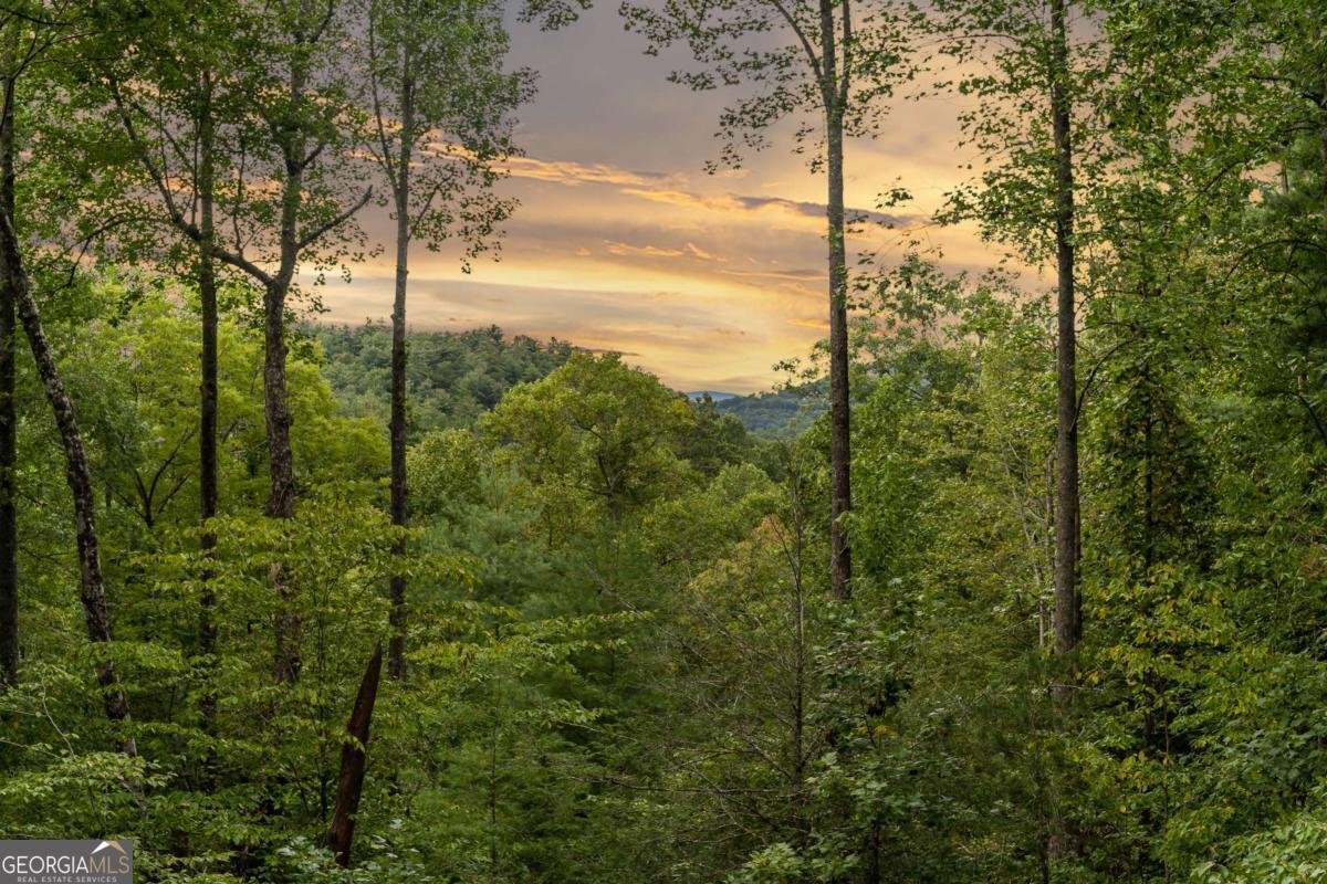 61 Quail Ridge Road Epworth - 30