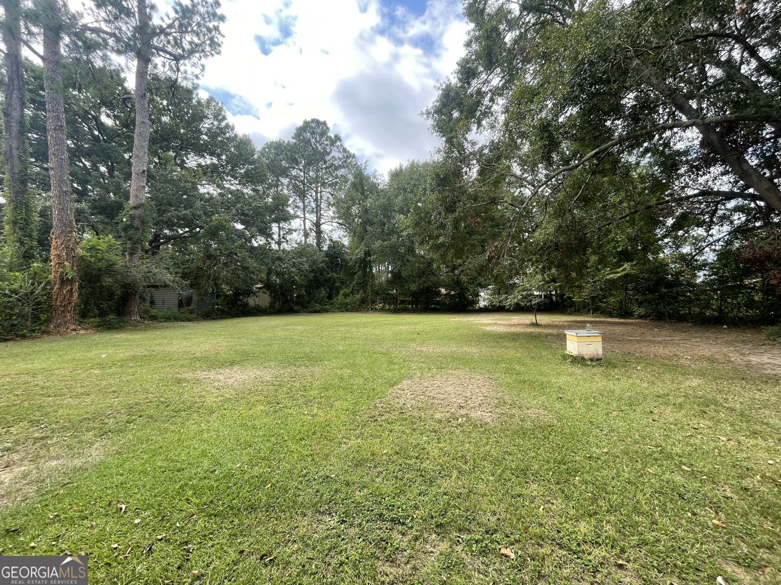 115 Sandy Way Road Statesboro - 19