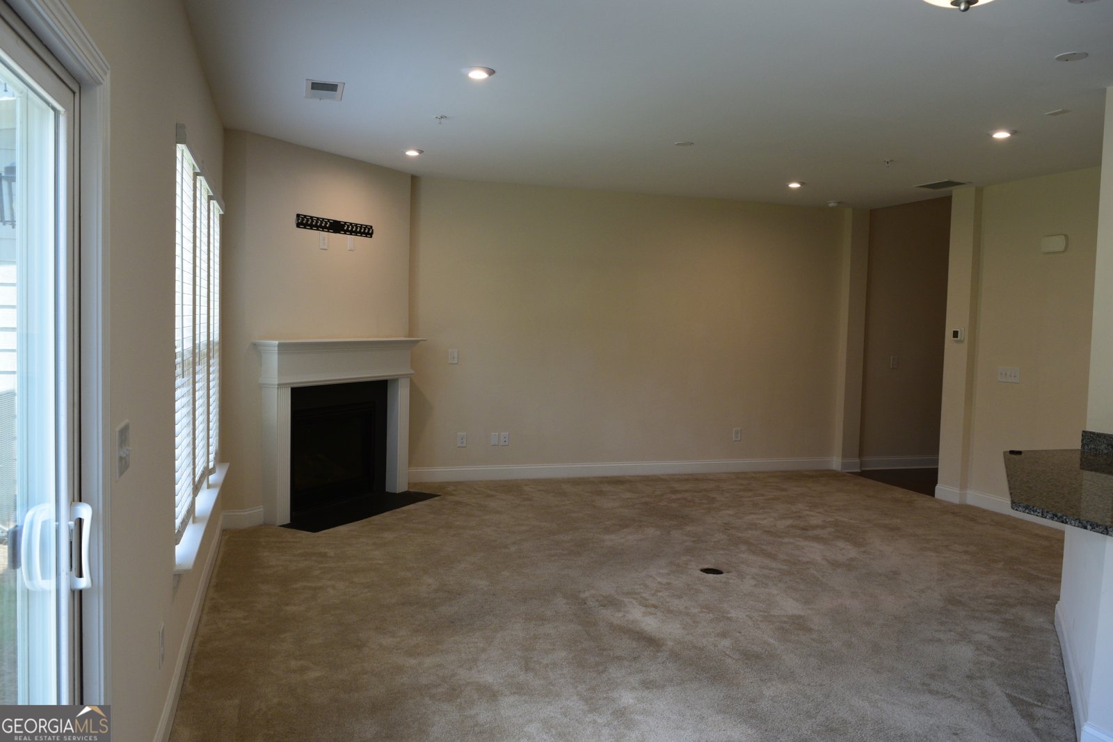 414 Delancy Drive Woodstock - 13