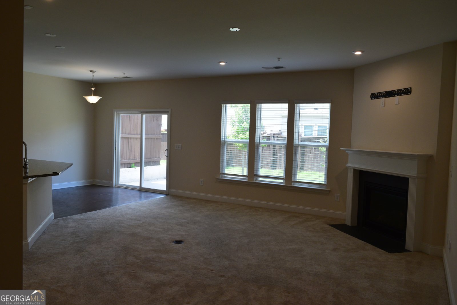 414 Delancy Drive Woodstock - 9
