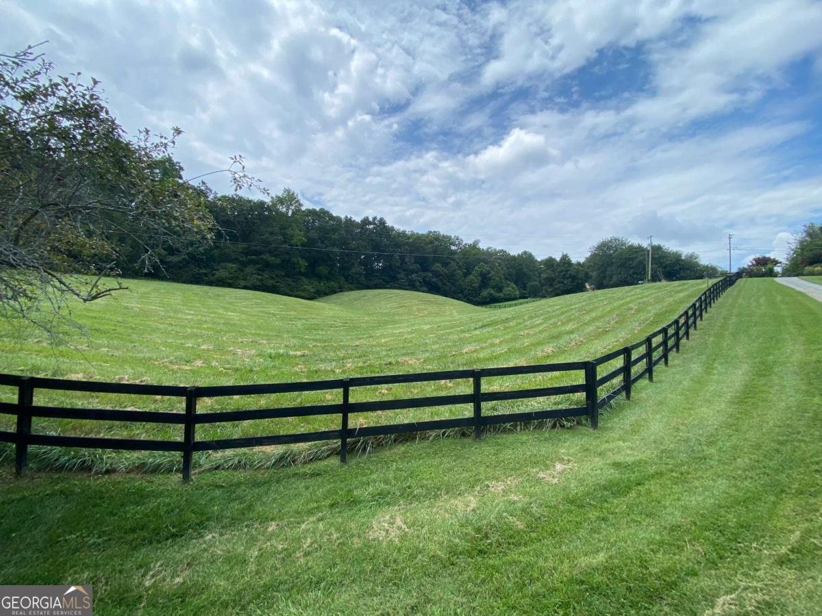 415 Springwood Court Canton - 10