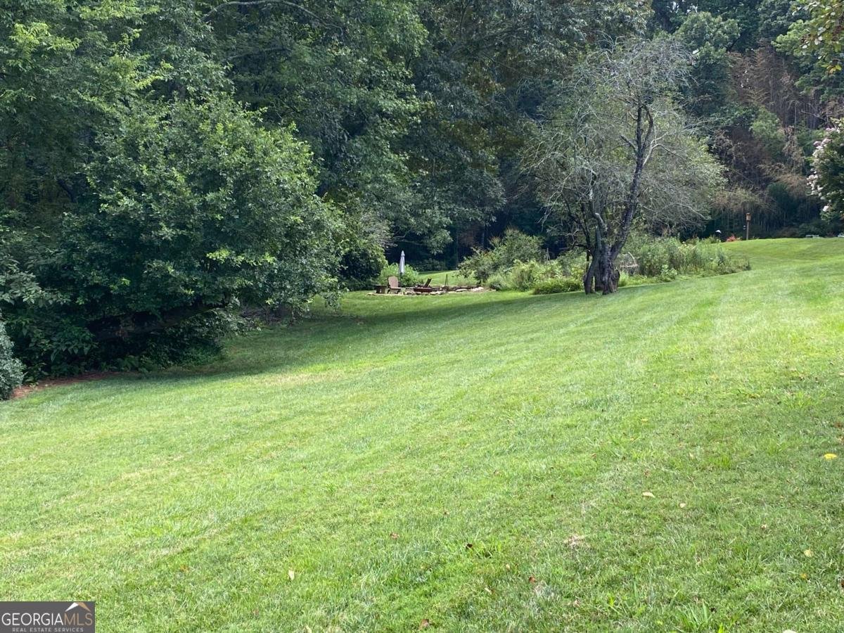 415 Springwood Court Canton - 20