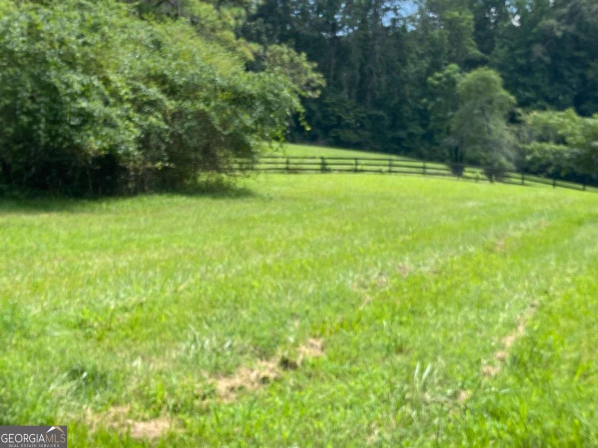 415 Springwood Court Canton - 21