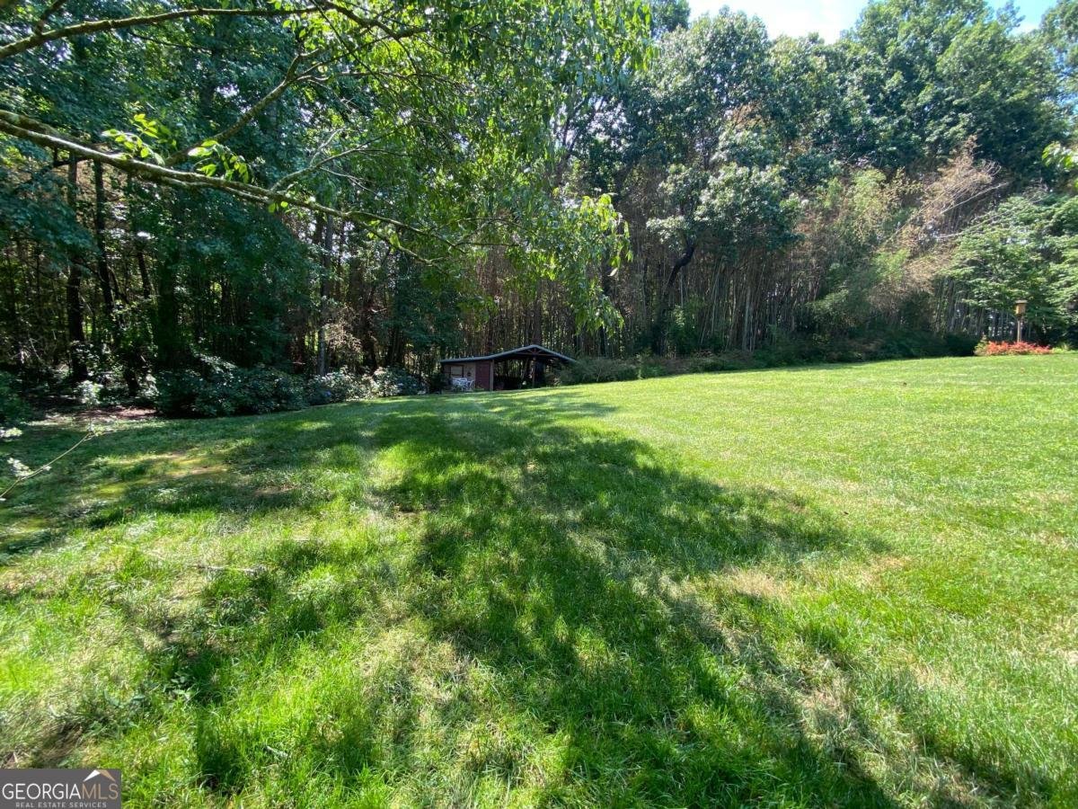 415 Springwood Court Canton - 9
