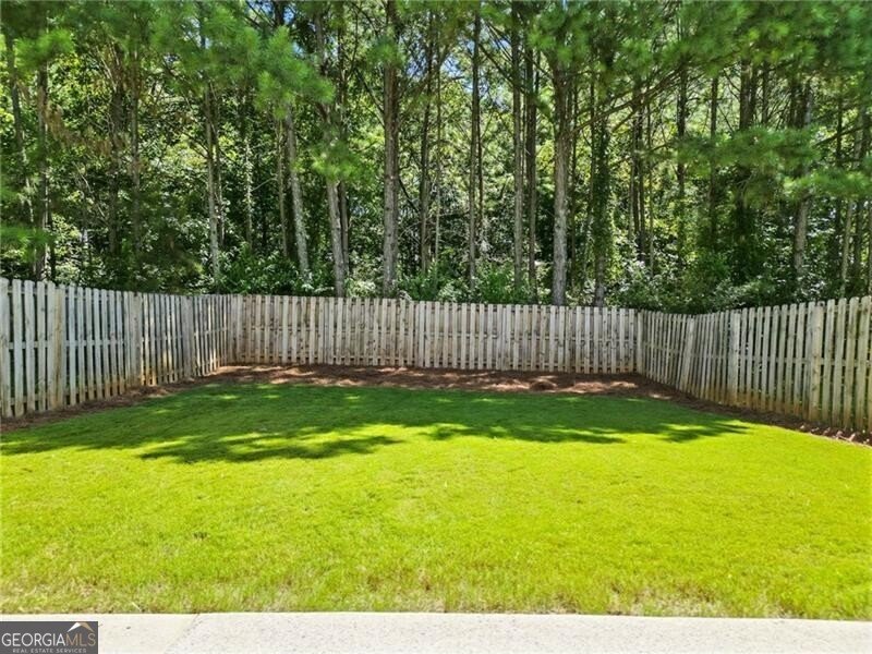 917 Tamarisk Place Canton - 2