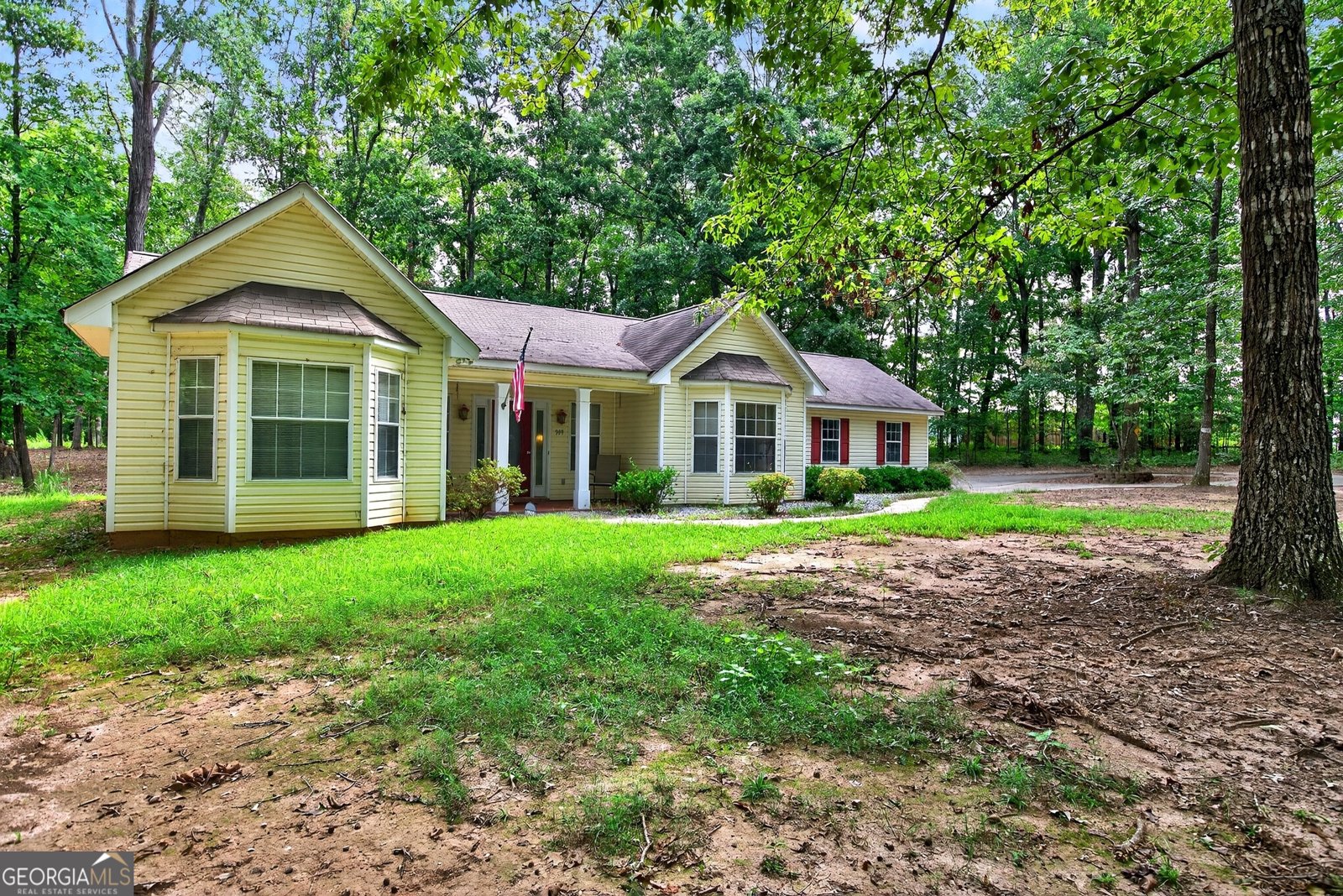 909 Lawshe Road Senoia - 21
