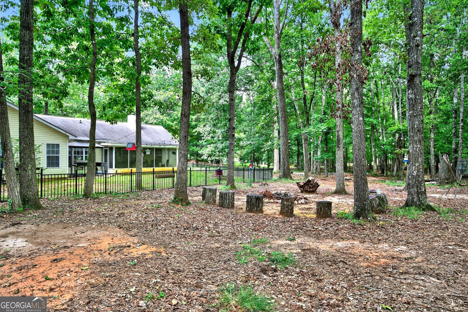909 Lawshe Road Senoia - 23