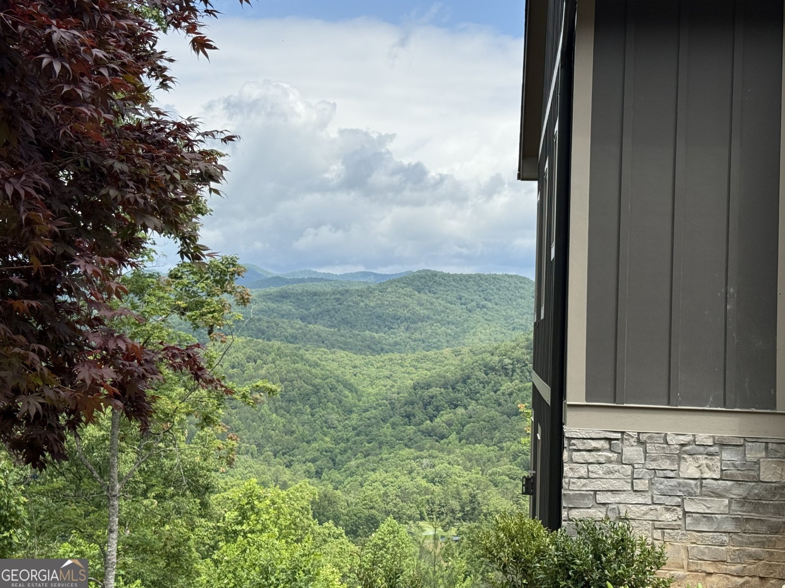 608 Winterberry Drive Clayton - 28