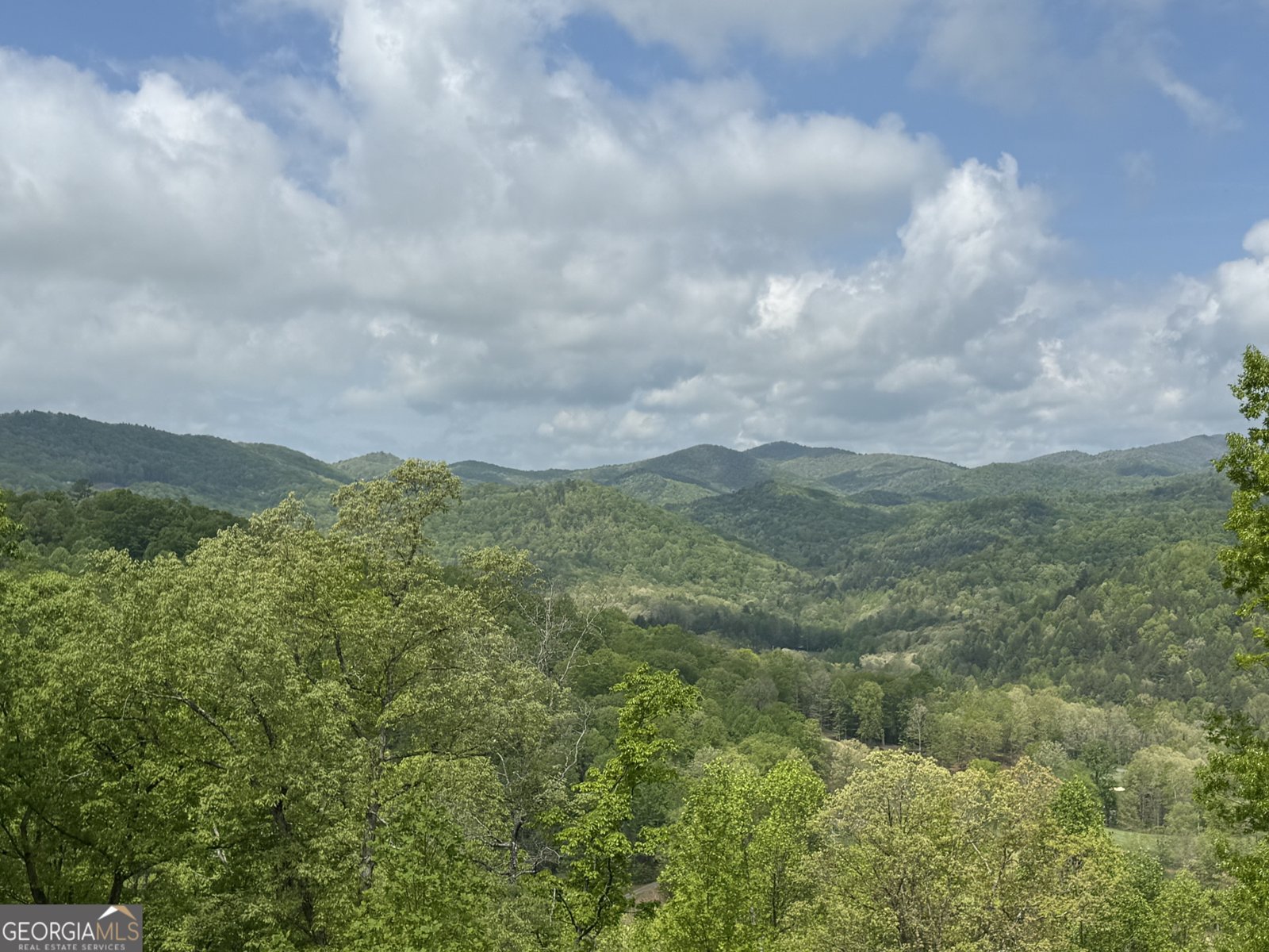 608 Winterberry Drive Clayton - 32