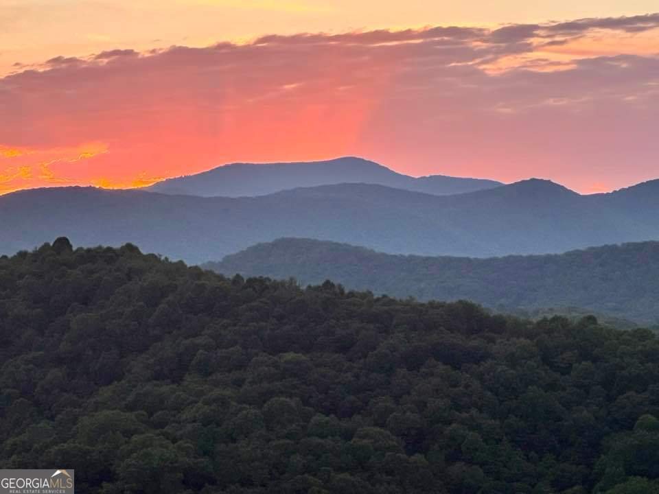 608 Winterberry Drive Clayton - 86