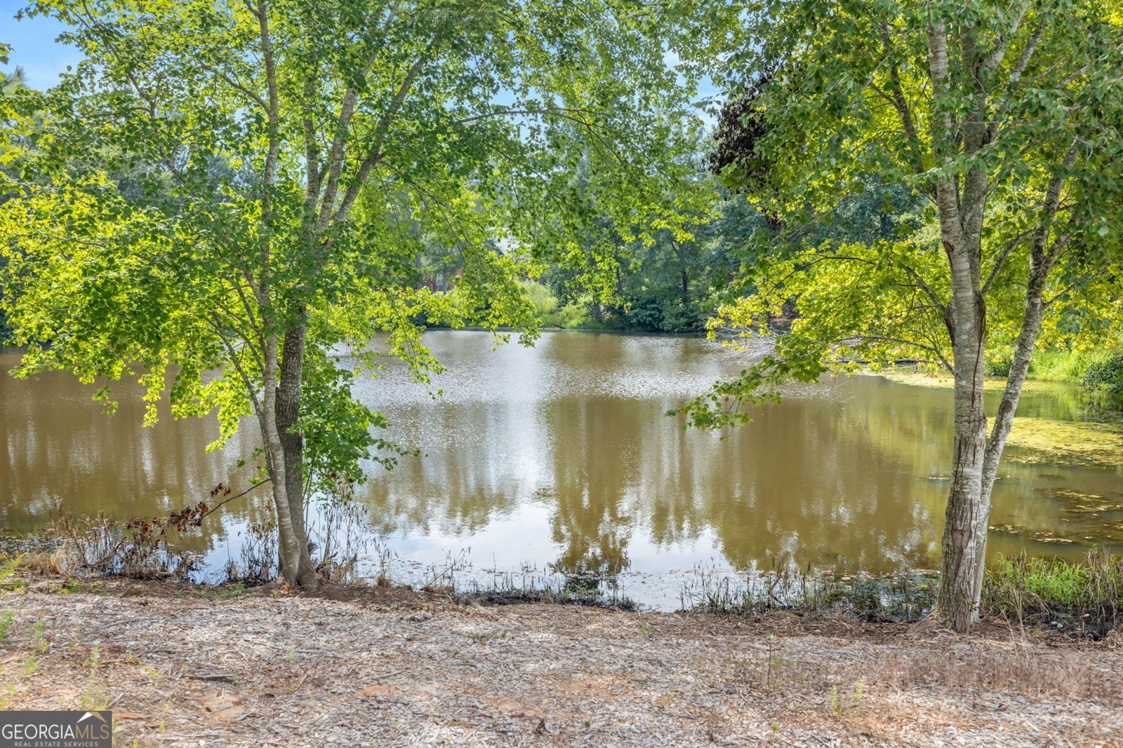 164 Turtle Creek Drive Winder - 41