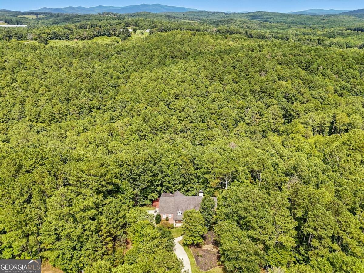 240 Mountain Creek Hollow Drive Talking Rock - 5