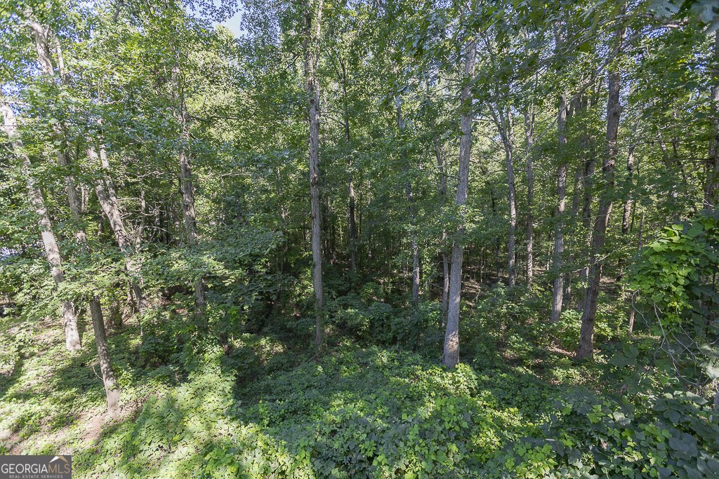2141 Kirkland Drive Statham - 18